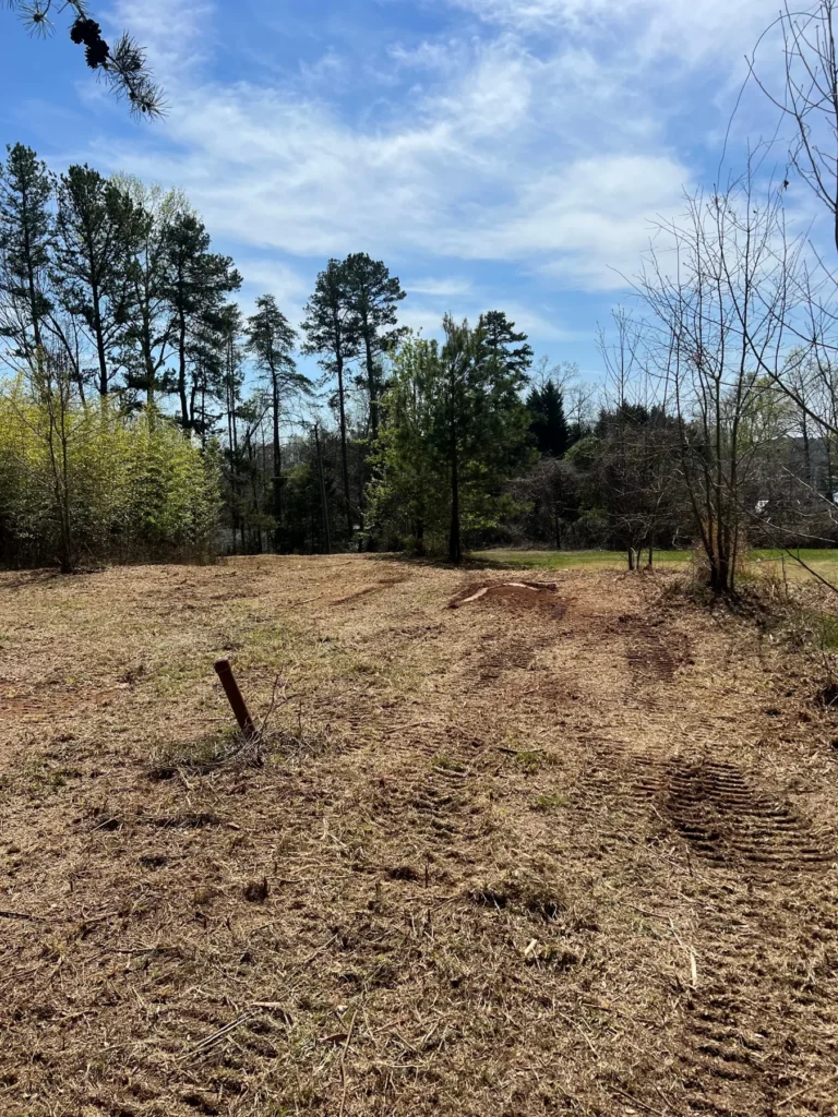 Land cleared away using forestry mulching